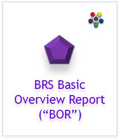 Basic Overview Report