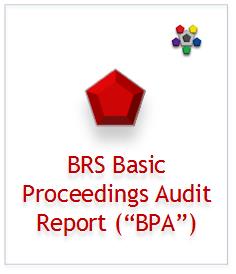 Basic Proceedings Audit