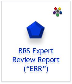 Expert Review Report