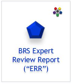 Expert Review Report